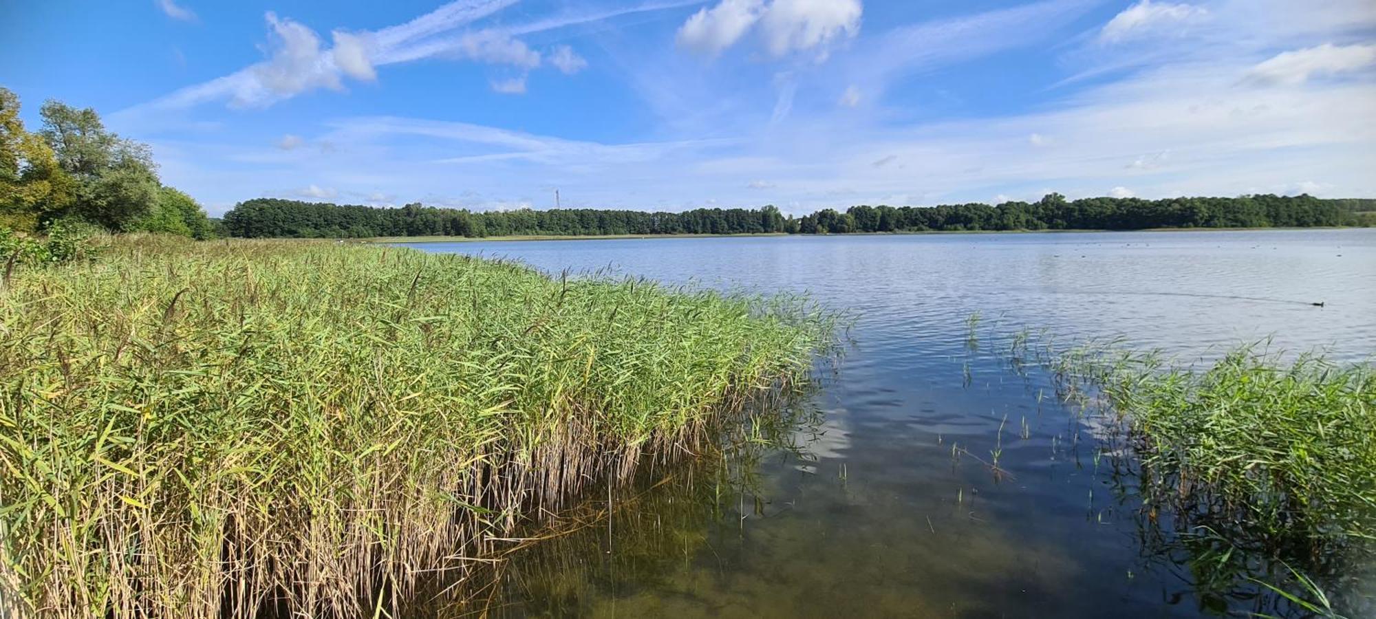 Ferienhof Am Kaebelicksee Kratzeburg Екстериор снимка